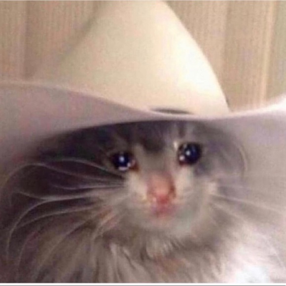 Meet your Posher, Nathan - Picture 1 of 1